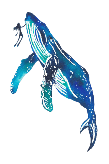 orca-con-buceador-acuarela