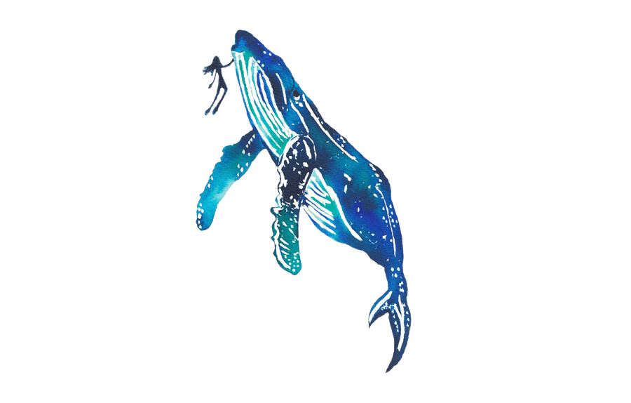 orca-con-buceador-acuarela