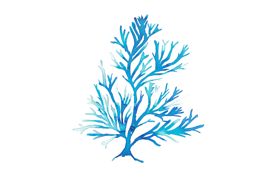 coral-azul-acuarela