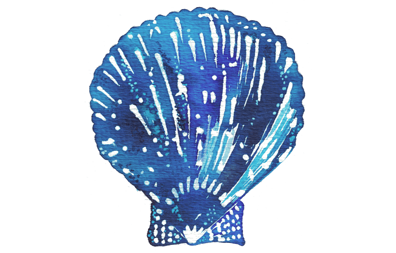 nuestra-vision